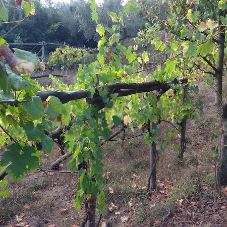 Anna Belle Elegant Agriresort Feriested Sorrento