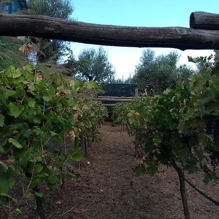 Anna Belle Elegant Agriresort Feriested Sorrento