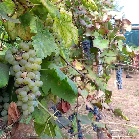 Anna Belle Elegant Agriresort Сорренто