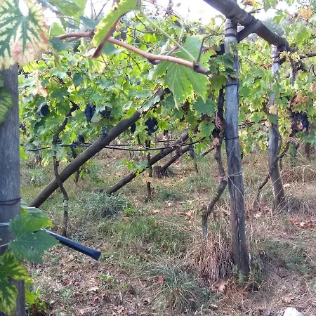 Anna Belle Elegant Agriresort Курортный комплекс Сорренто